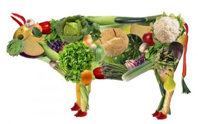 ¿Qué es el vegetarianismo?